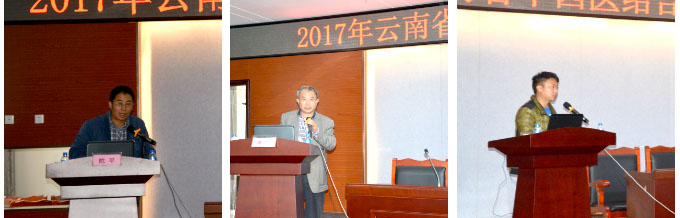 风险久久久久久亚洲精品影院