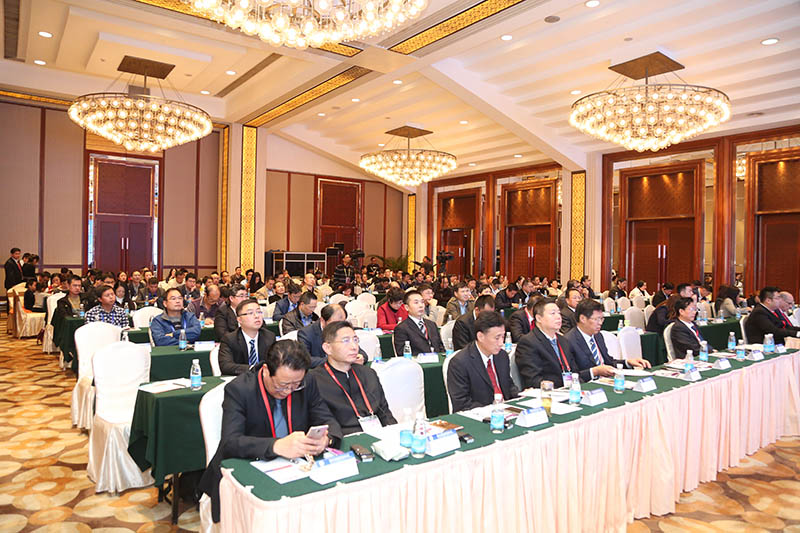 风险久久久久久亚洲精品影院