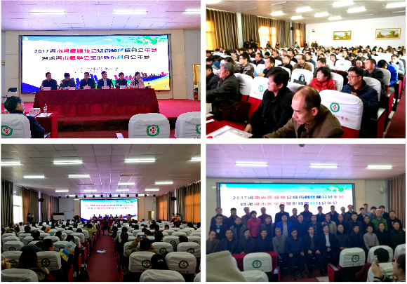 风险久久久久久亚洲精品影院