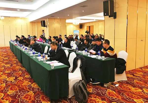 风险久久久久久亚洲精品影院