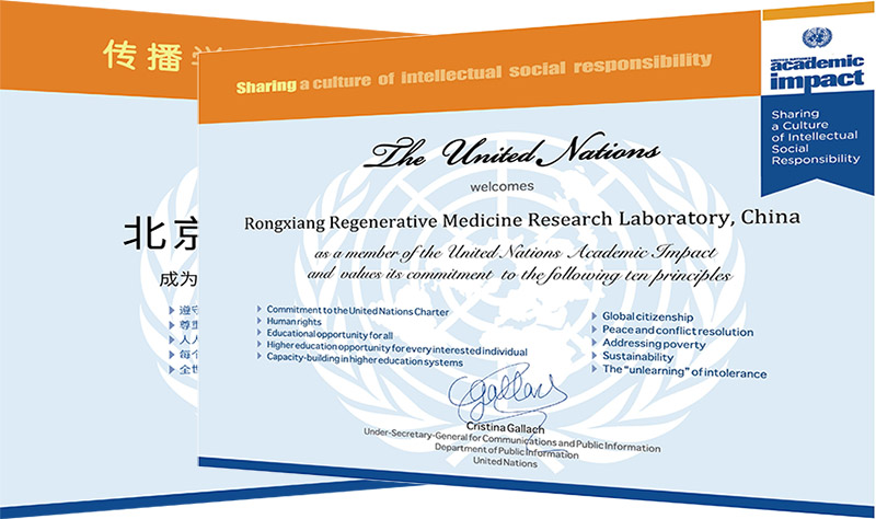 风险久久久久久亚洲精品影院