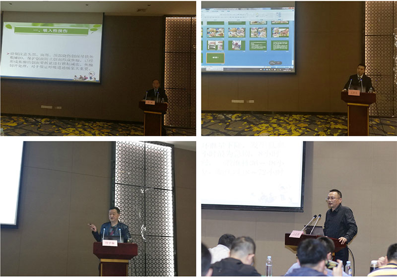 风险久久久久久亚洲精品影院