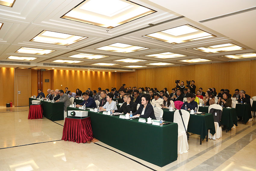 风险久久久久久亚洲精品影院