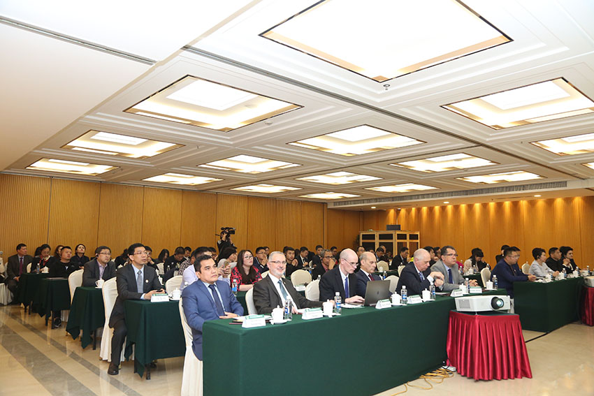 风险久久久久久亚洲精品影院