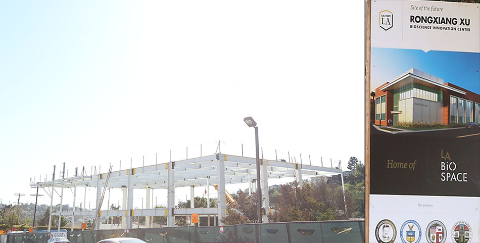 风险久久久久久亚洲精品影院