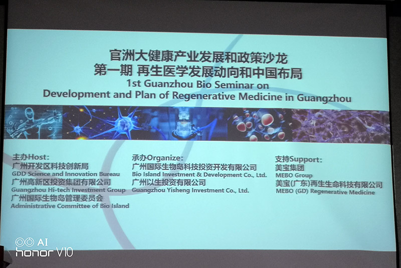 风险久久久久久亚洲精品影院