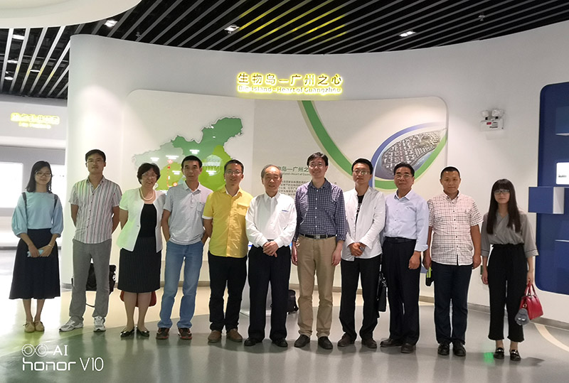 风险久久久久久亚洲精品影院