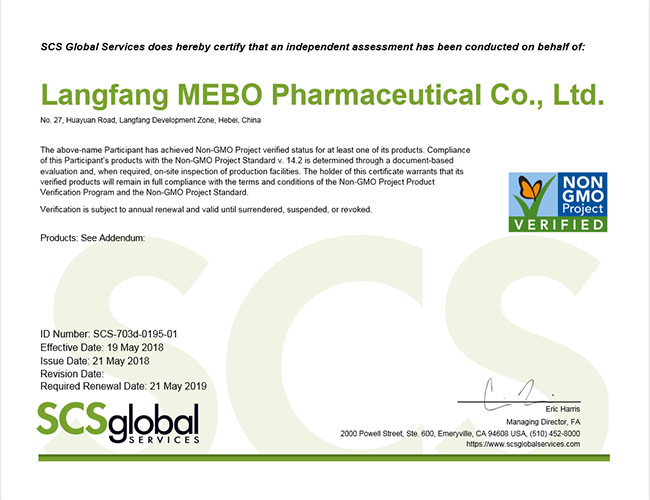 风险久久久久久亚洲精品影院