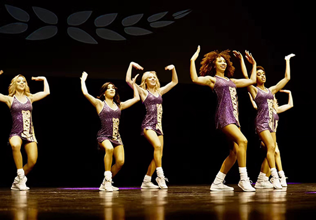 风险久久久久久亚洲精品影院