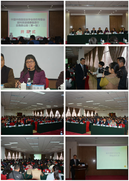 风险久久久久久亚洲精品影院