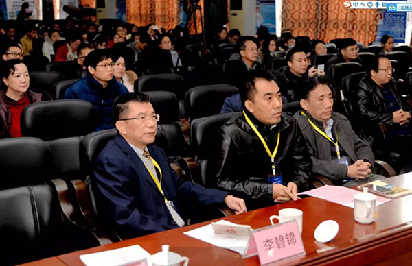 风险久久久久久亚洲精品影院