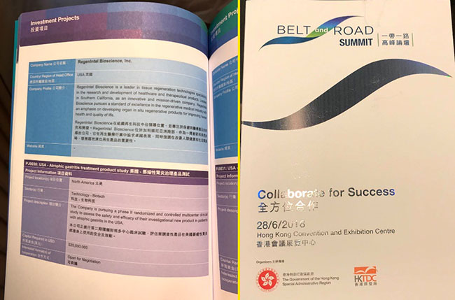 风险久久久久久亚洲精品影院