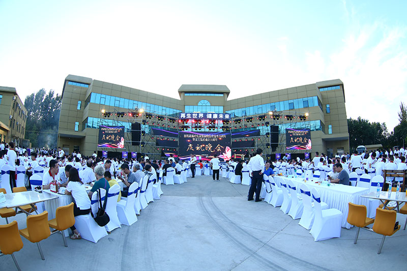 风险久久久久久亚洲精品影院