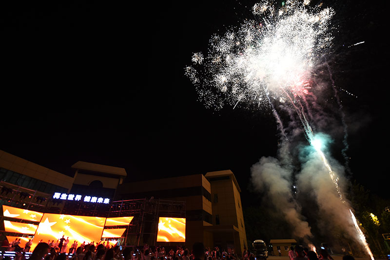 风险久久久久久亚洲精品影院