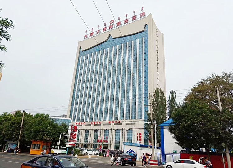 风险久久久久久亚洲精品影院