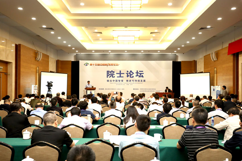 风险久久久久久亚洲精品影院