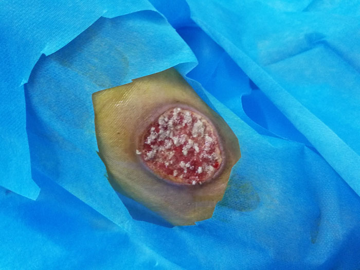 风险久久久久久亚洲精品影院