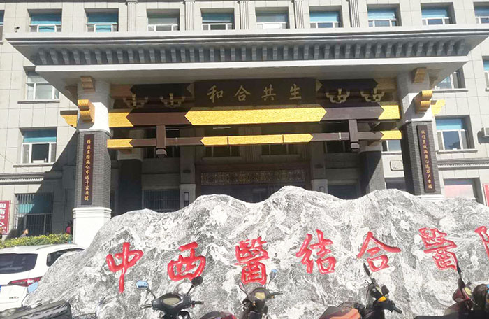 风险久久久久久亚洲精品影院