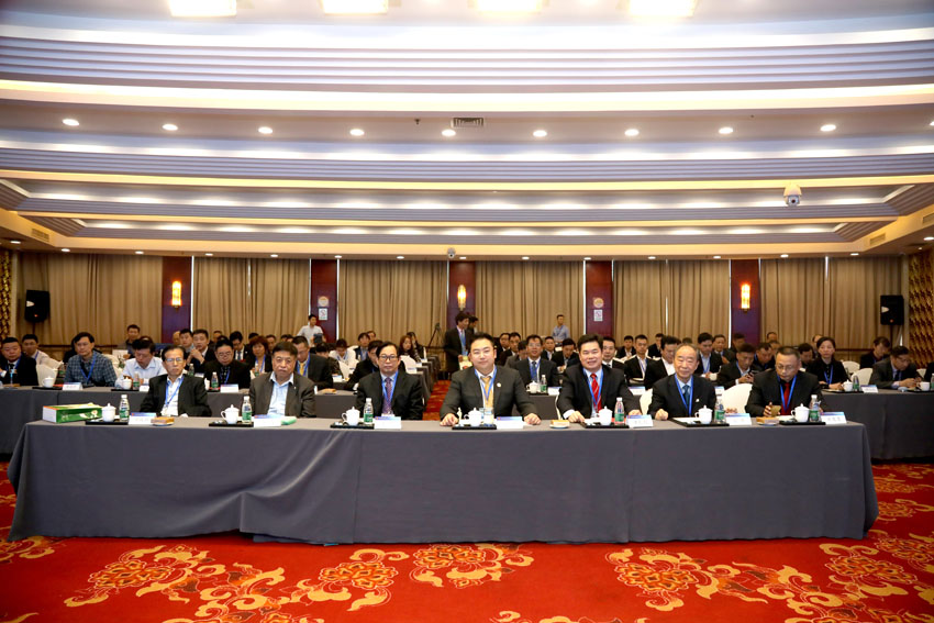 风险久久久久久亚洲精品影院