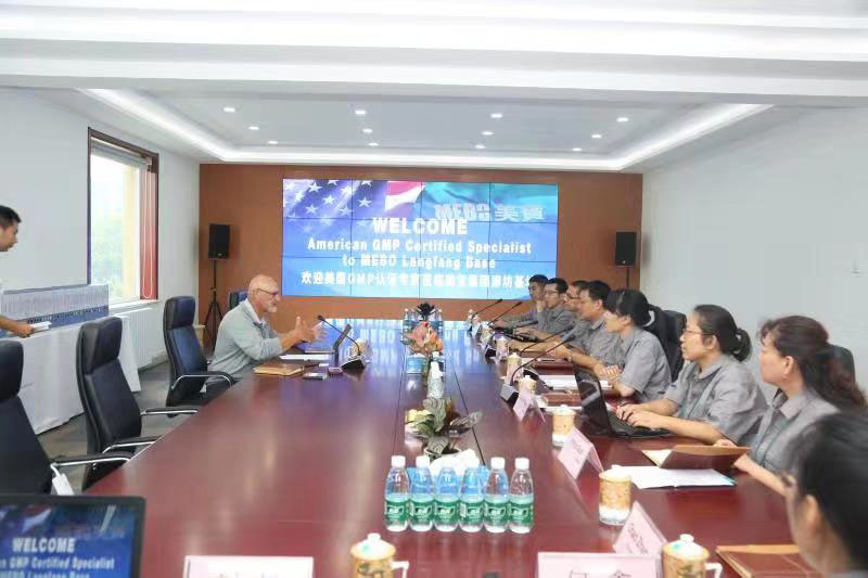 风险久久久久久亚洲精品影院