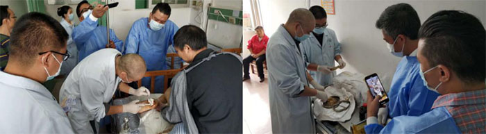 风险久久久久久亚洲精品影院