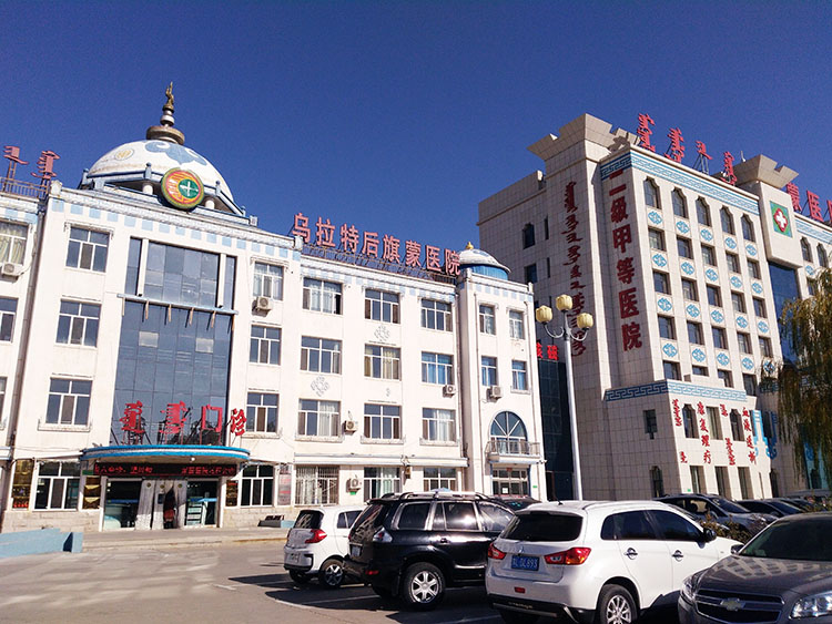 风险久久久久久亚洲精品影院