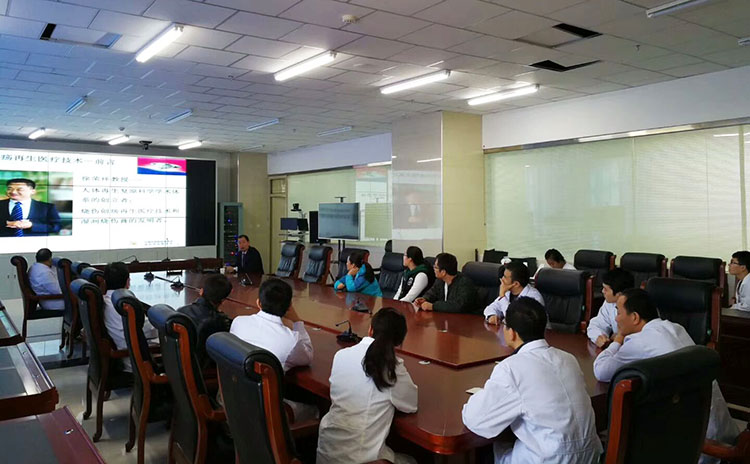 风险久久久久久亚洲精品影院