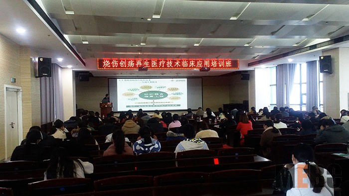 风险久久久久久亚洲精品影院