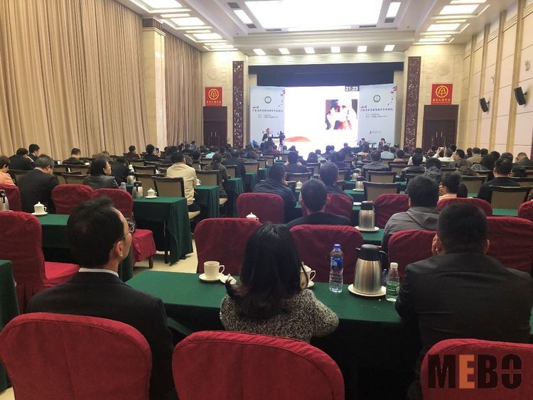 风险久久久久久亚洲精品影院