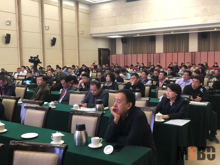 风险久久久久久亚洲精品影院