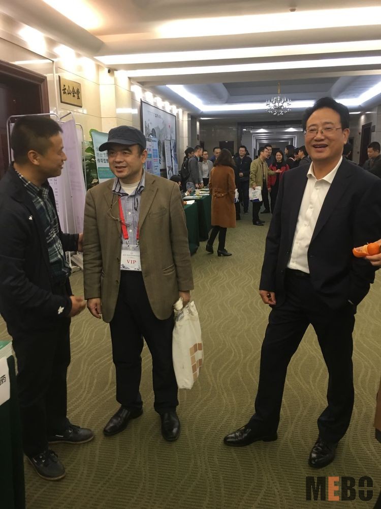 风险久久久久久亚洲精品影院