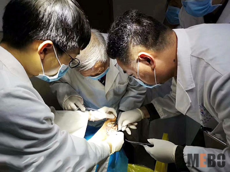 风险久久久久久亚洲精品影院