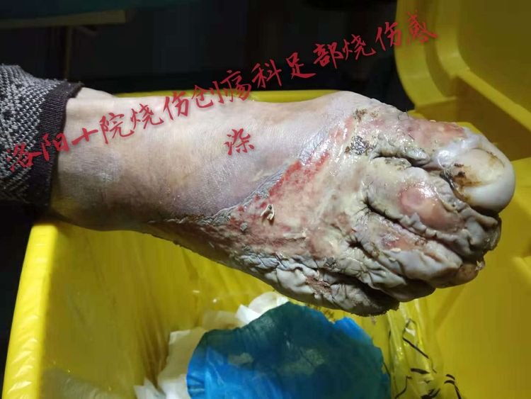 风险久久久久久亚洲精品影院