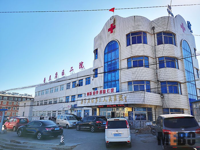 风险久久久久久亚洲精品影院