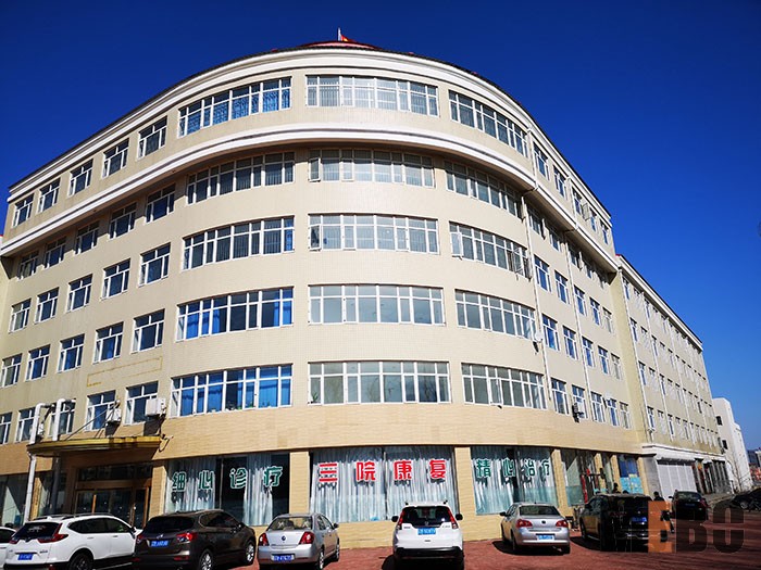 风险久久久久久亚洲精品影院