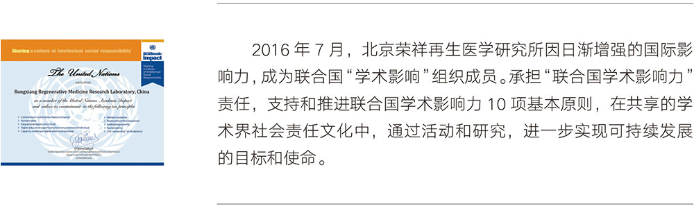 风险久久久久久亚洲精品影院