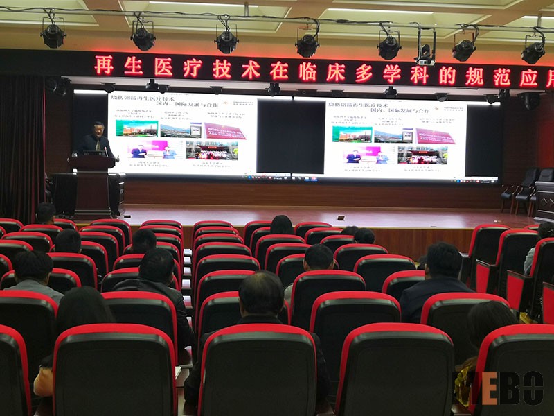 风险久久久久久亚洲精品影院