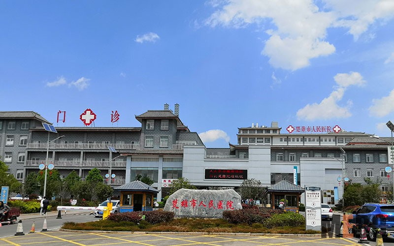 风险久久久久久亚洲精品影院