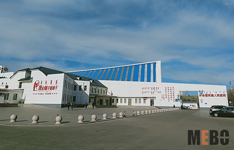 风险久久久久久亚洲精品影院