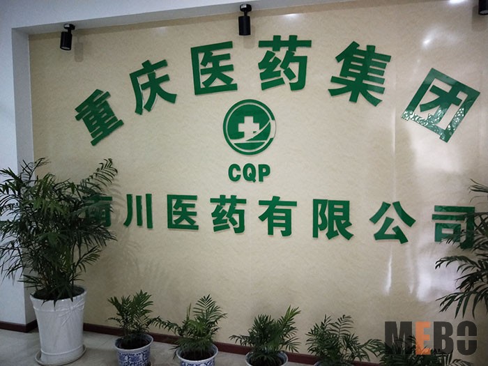 风险久久久久久亚洲精品影院