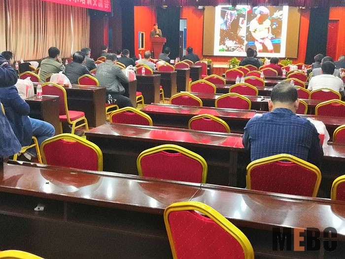 风险久久久久久亚洲精品影院