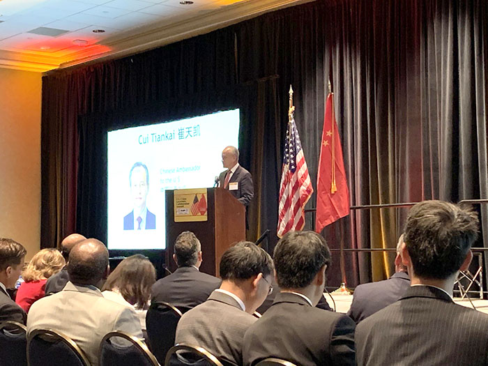 风险久久久久久亚洲精品影院