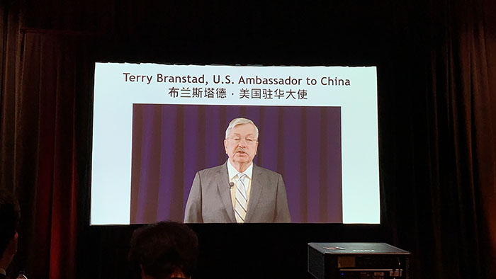 风险久久久久久亚洲精品影院