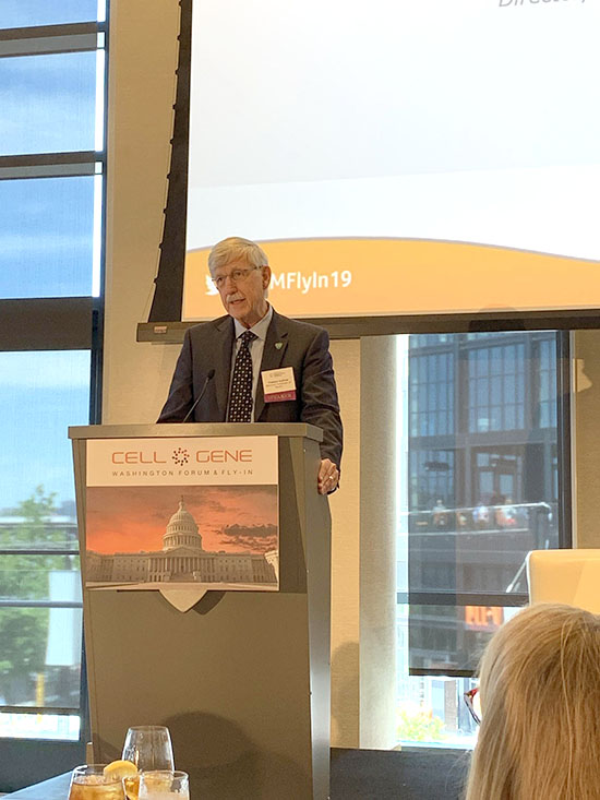 风险久久久久久亚洲精品影院