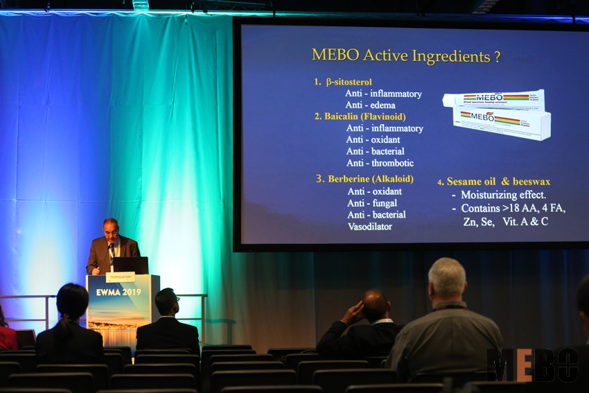 风险久久久久久亚洲精品影院