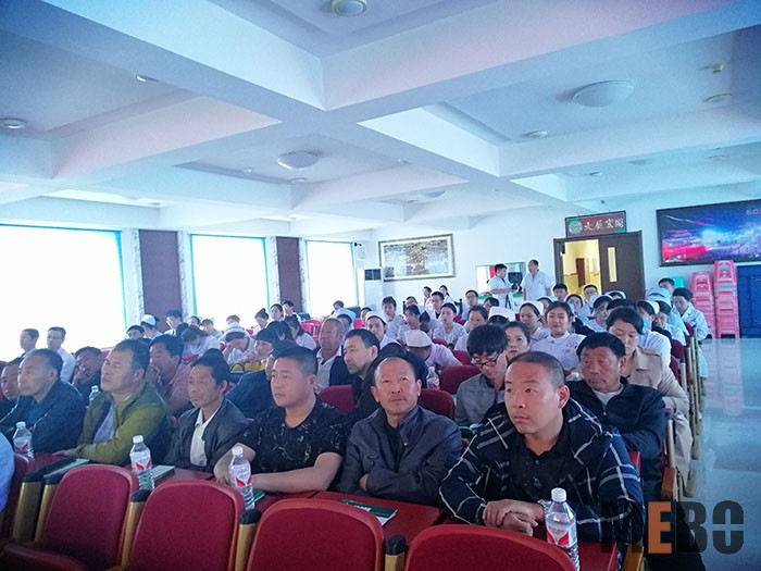 风险久久久久久亚洲精品影院