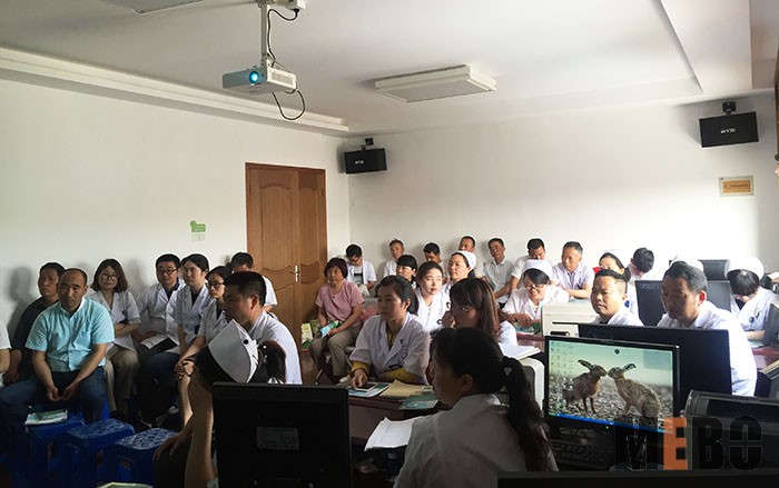 风险久久久久久亚洲精品影院