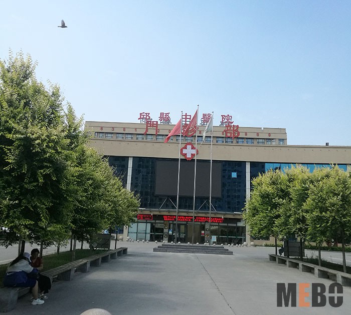 风险久久久久久亚洲精品影院