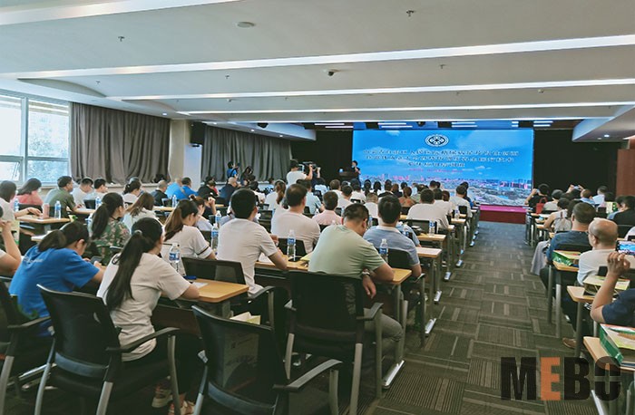 风险久久久久久亚洲精品影院