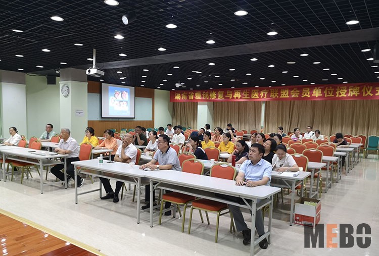 风险久久久久久亚洲精品影院